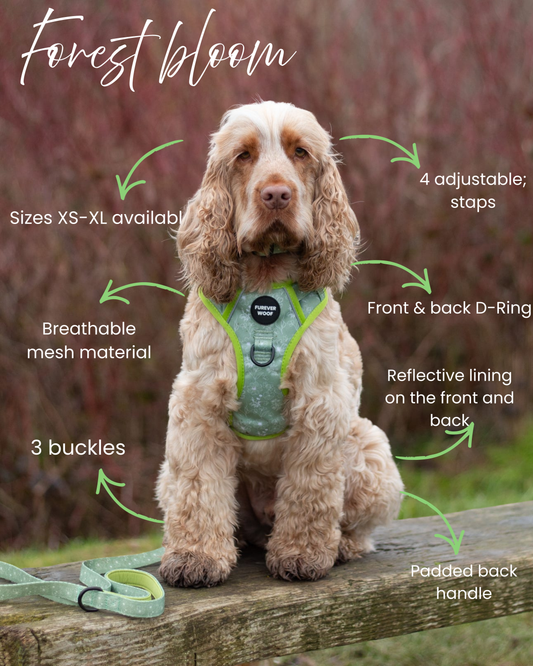 Forest Bloom 3-Clip Active Harness