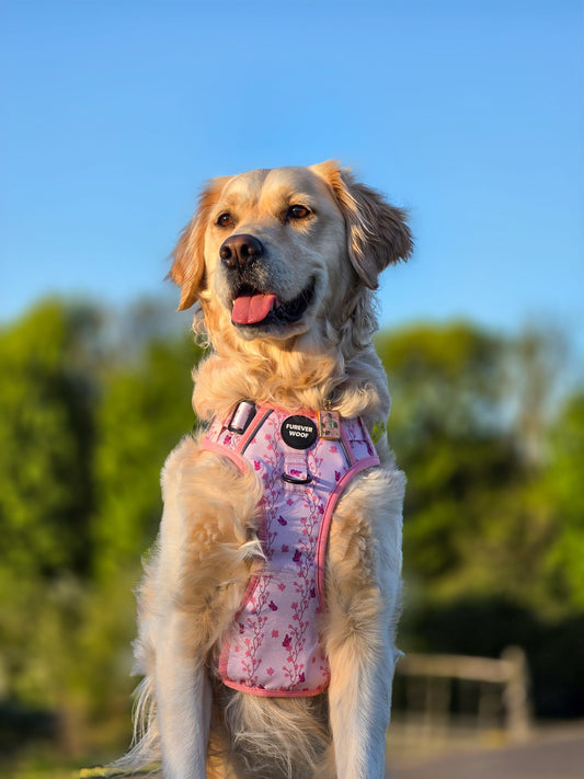 Sweet Blossom 3-Clip Active Harness