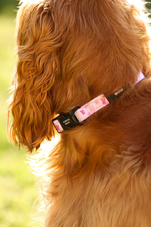 Sweet Blossom Collar