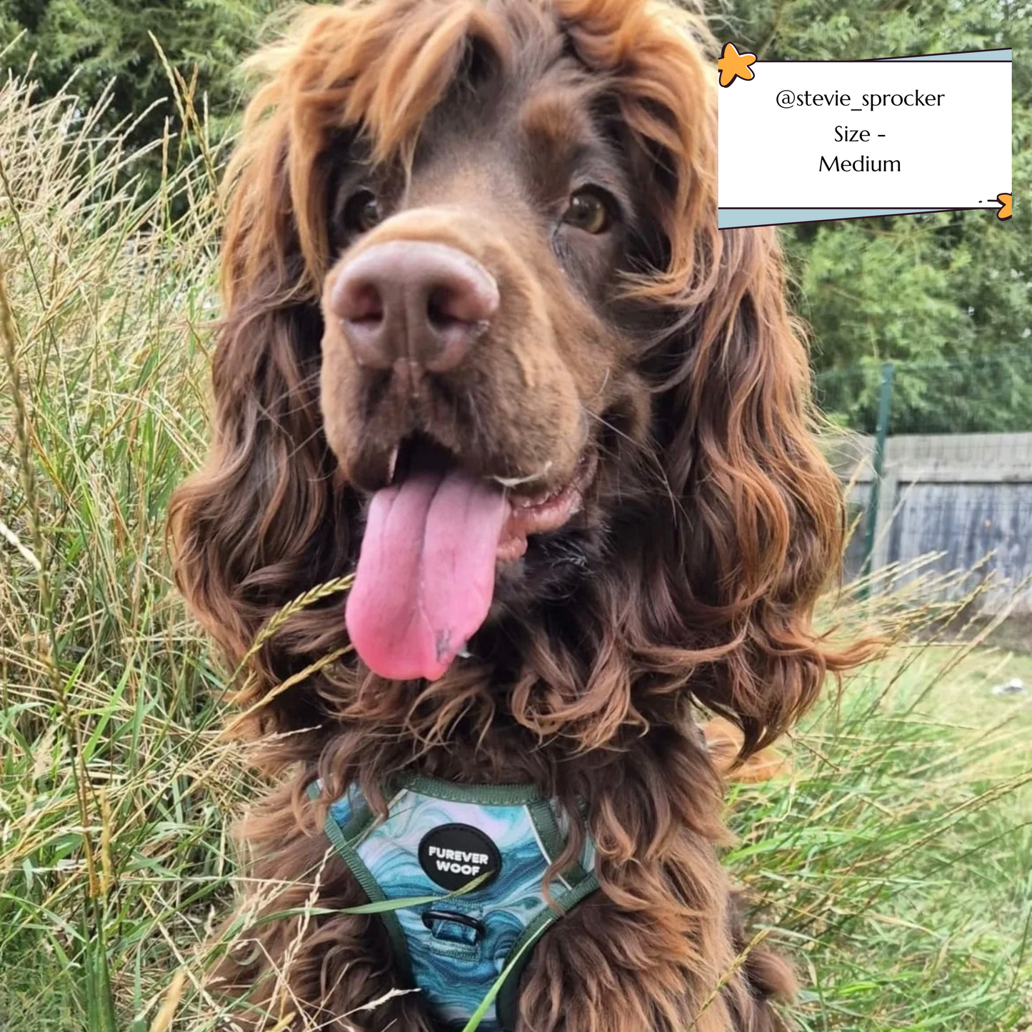 🌿 Emerald Swirl Adventure Harness