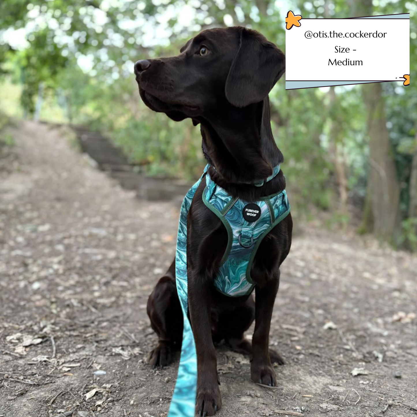 🌿 Emerald Swirl Adventure Harness