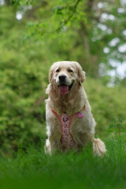Sweet Blossom 3-Clip Active Harness