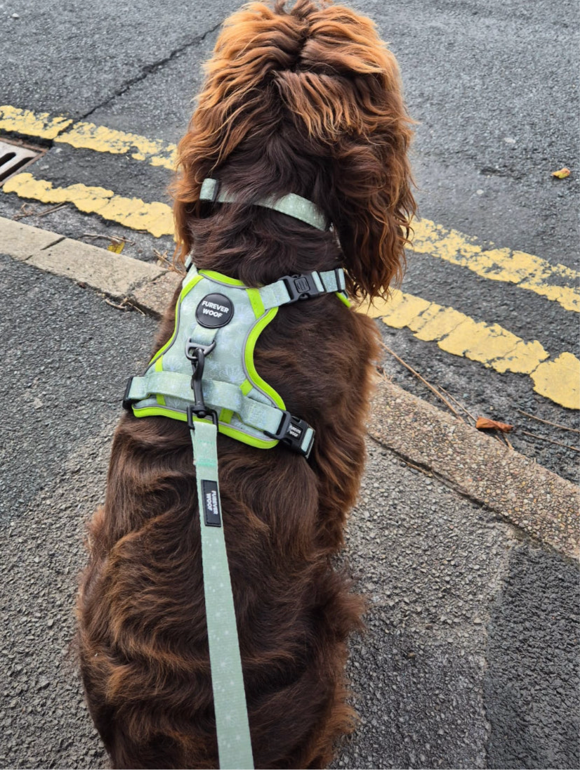 🌸 Forest Bloom Adventure Harness