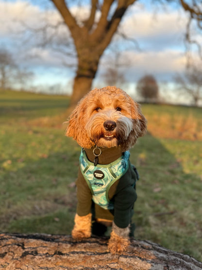 Emerald Swirl 3-Clip Active Harness