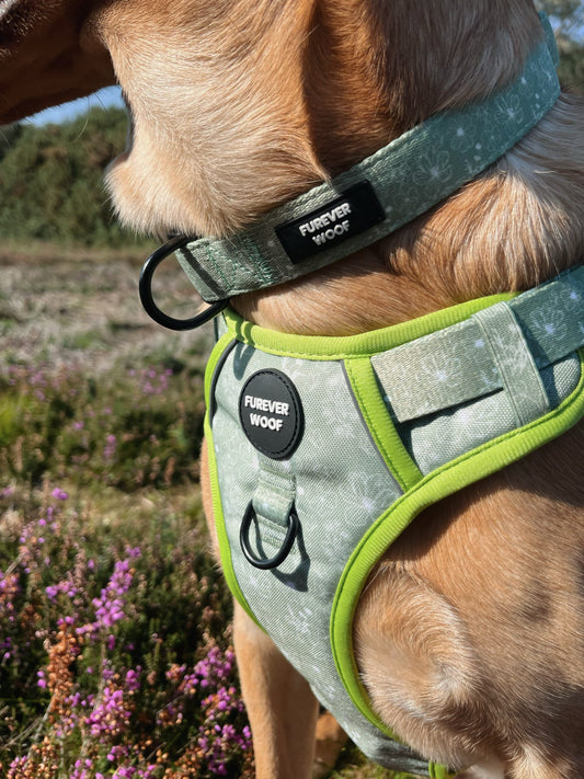 Forest Bloom Collar