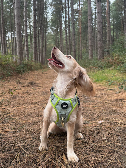 🌸 Forest Bloom Adventure Harness