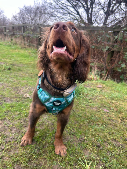 Emerald Swirl 3-Clip Active Harness