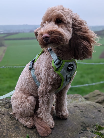 🌸 Forest Bloom Adventure Harness