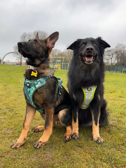 Emerald Swirl 3-Clip Active Harness