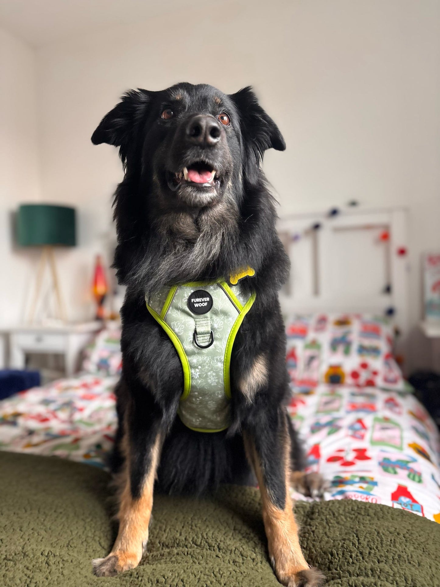 🌸 Forest Bloom Adventure Harness