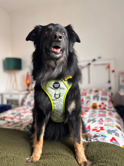 🌸 Forest Bloom Adventure Harness