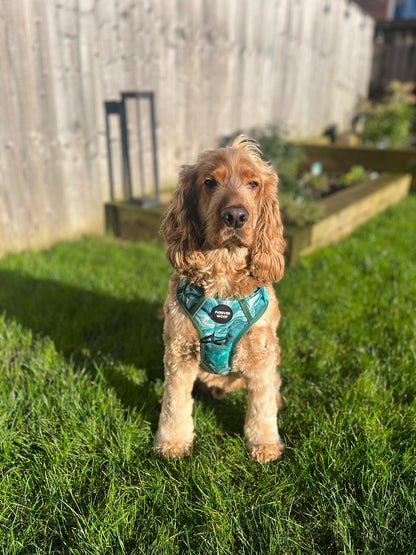 Emerald Swirl 3-Clip Active Harness