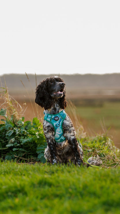 Emerald Swirl 3-Clip Active Harness