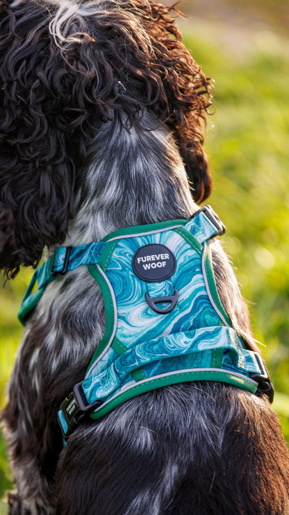 Emerald Swirl 3-Clip Active Harness