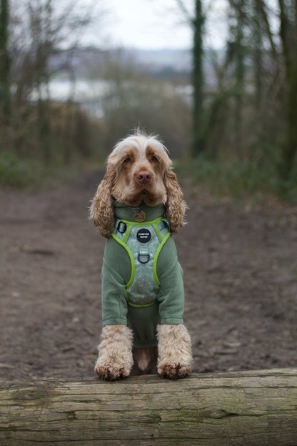 🌸 Forest Bloom Adventure Harness
