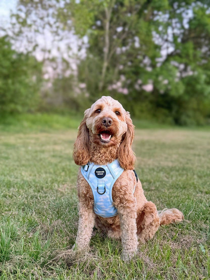 Daydream 3-Clip Active Harness