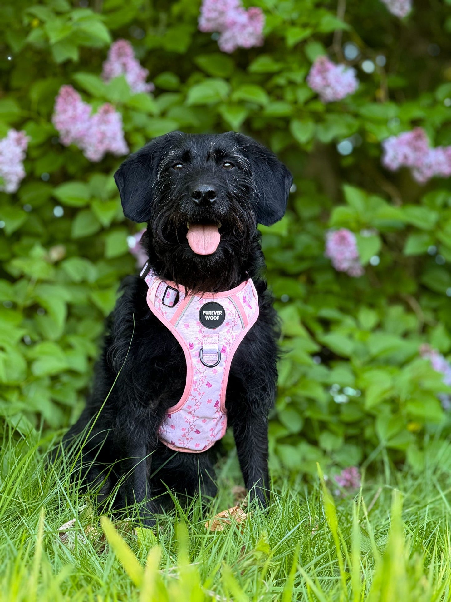 Sweet Blossom 3-Clip Active Harness