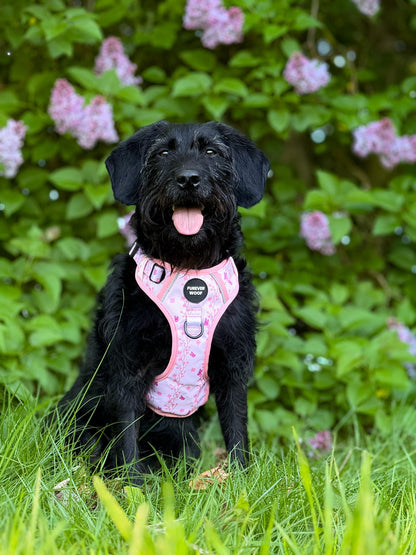Sweet Blossom 3-Clip Active Harness