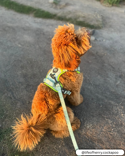 🌸 Forest Bloom Adventure Set