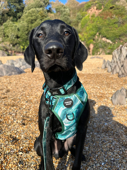 Emerald Swirl Collar
