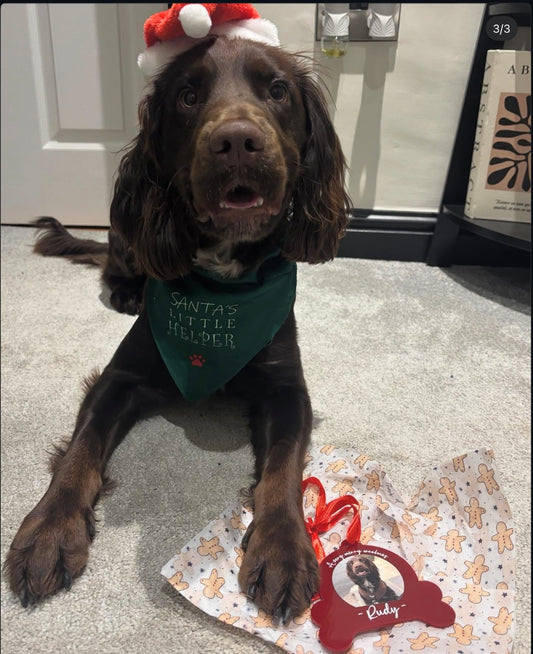 🎄 Personalised Christmas Bauble 🎄