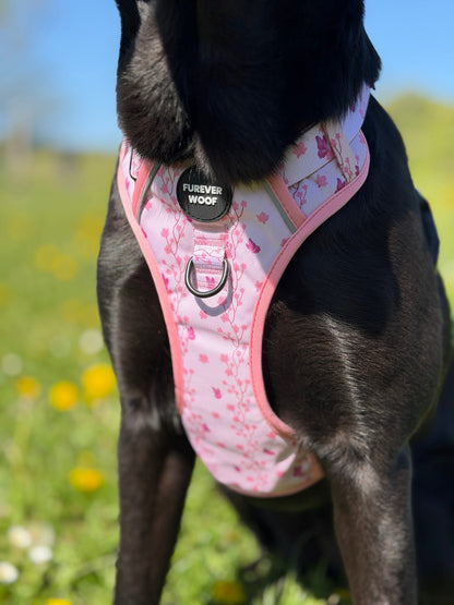 Sweet Blossom 3-Clip Active Harness