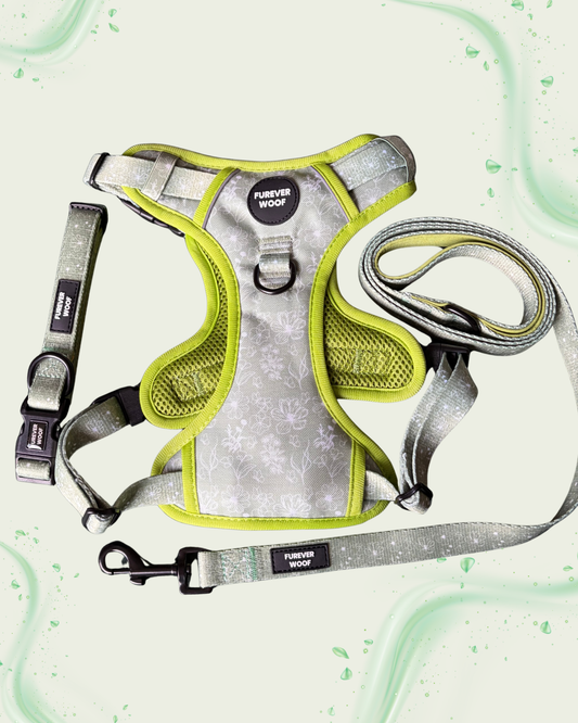 🌸 Forest Bloom Adventure Set