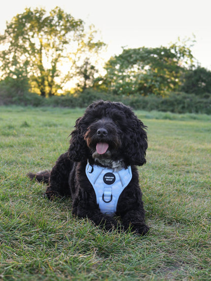Daydream 3-Clip Active Harness