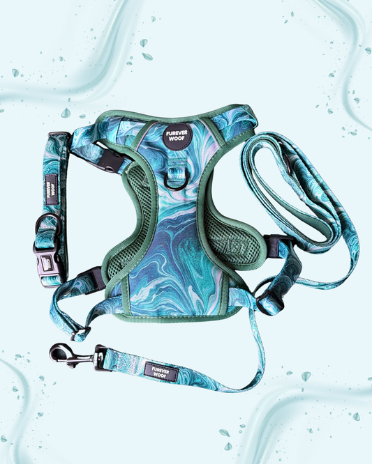 🍃Emerald Swirl Adventure Set