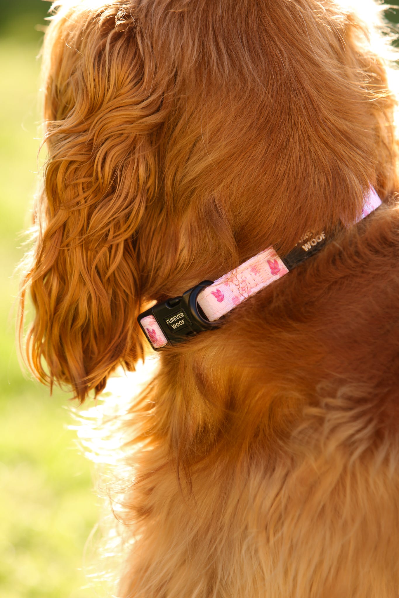 Sweet Blossom Collar