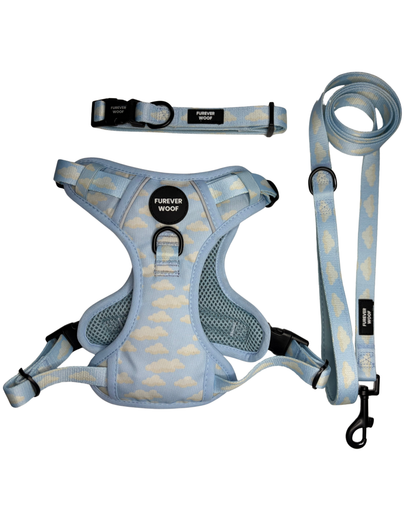 Daydream 3-Clip Active Set