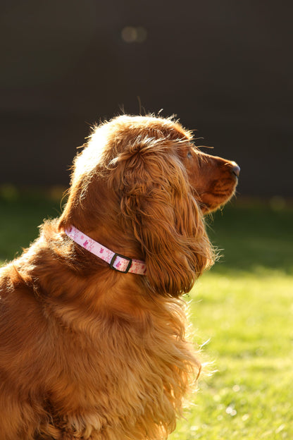 Sweet Blossom Collar