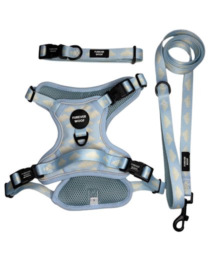 Daydream 3-Clip Active Set