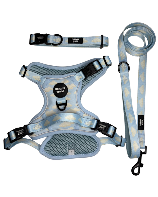 Daydream 3-Clip Active Set