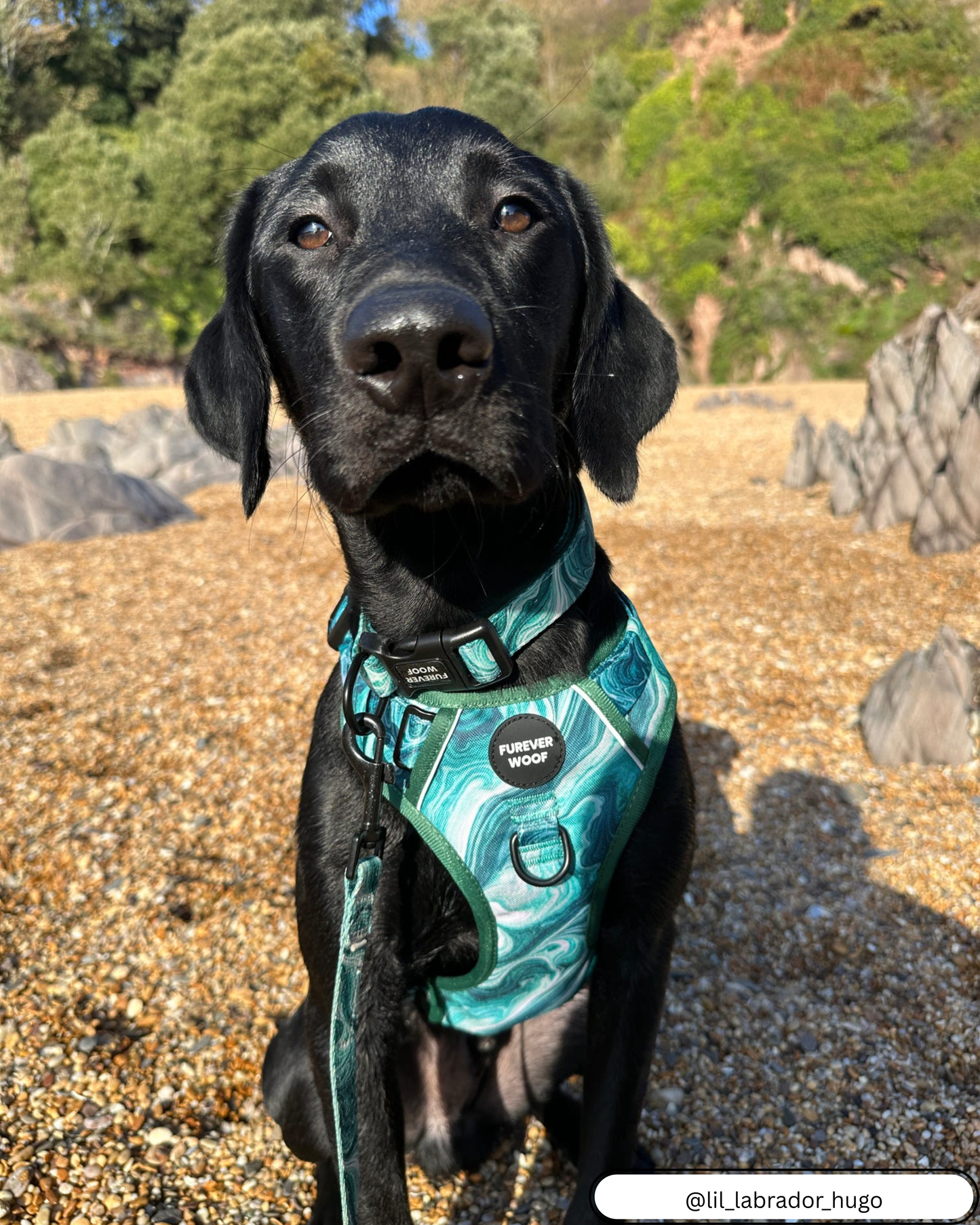 🍃Emerald Swirl Adventure Set