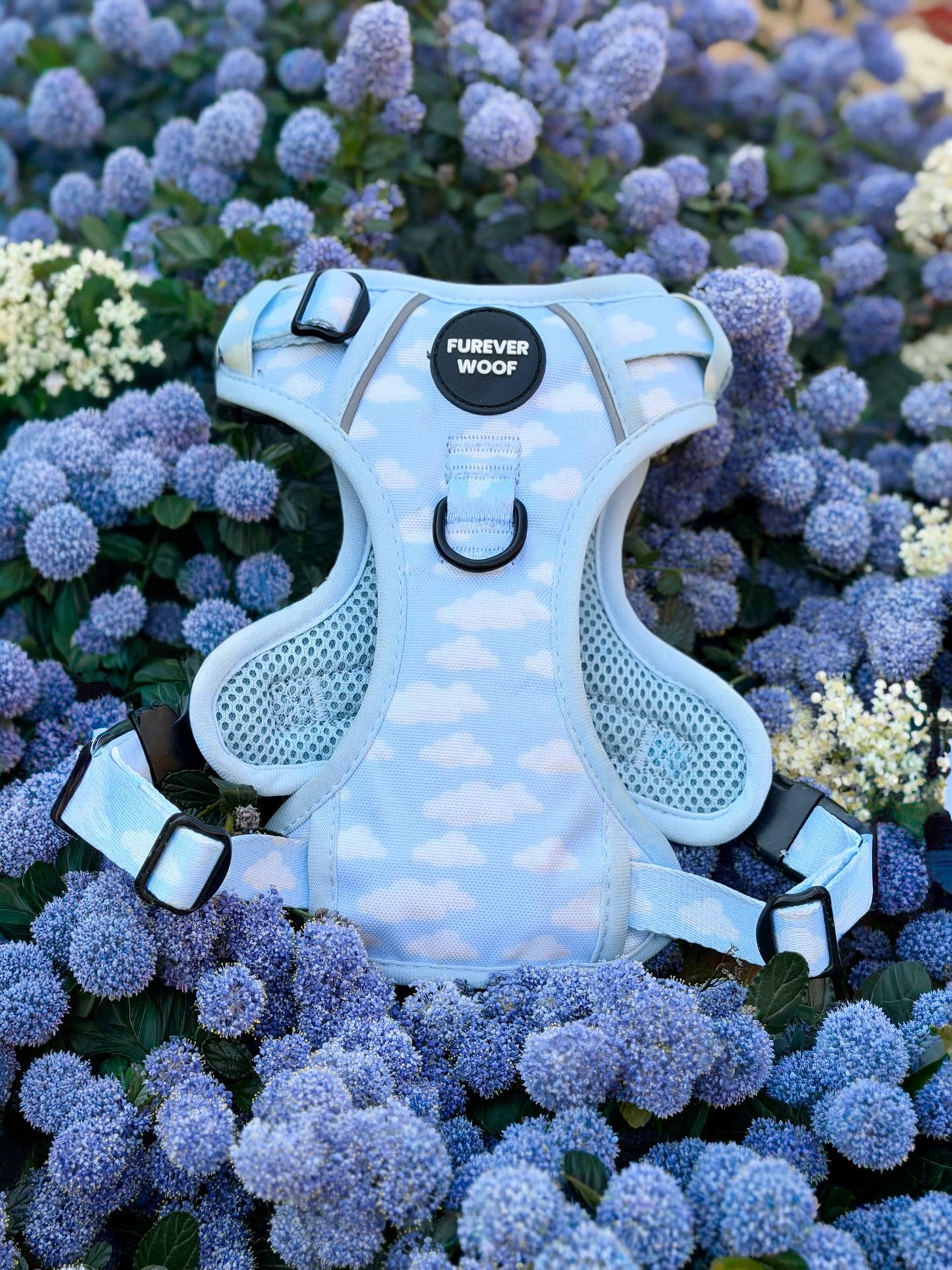 Daydream 3-Clip Active Harness