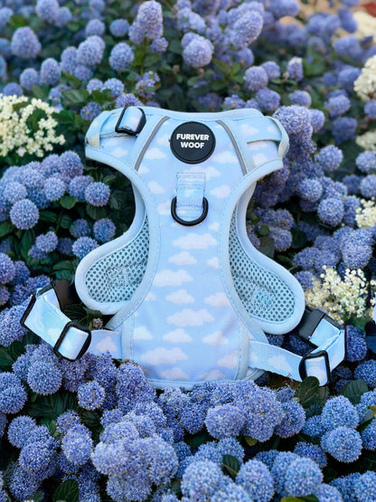 Daydream 3-Clip Active Harness