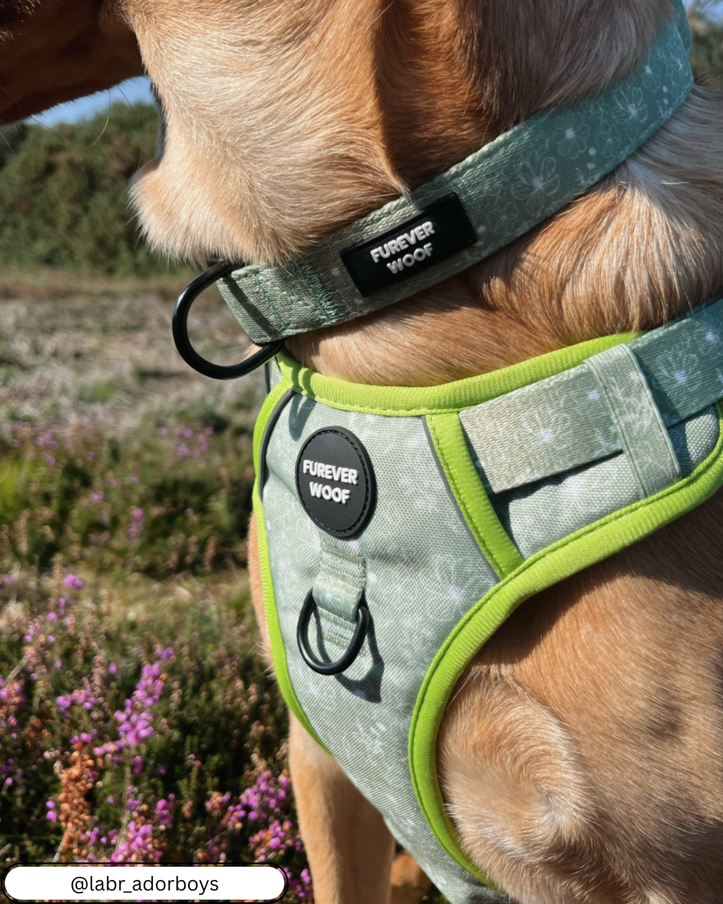 🌸 Forest Bloom Adventure Harness