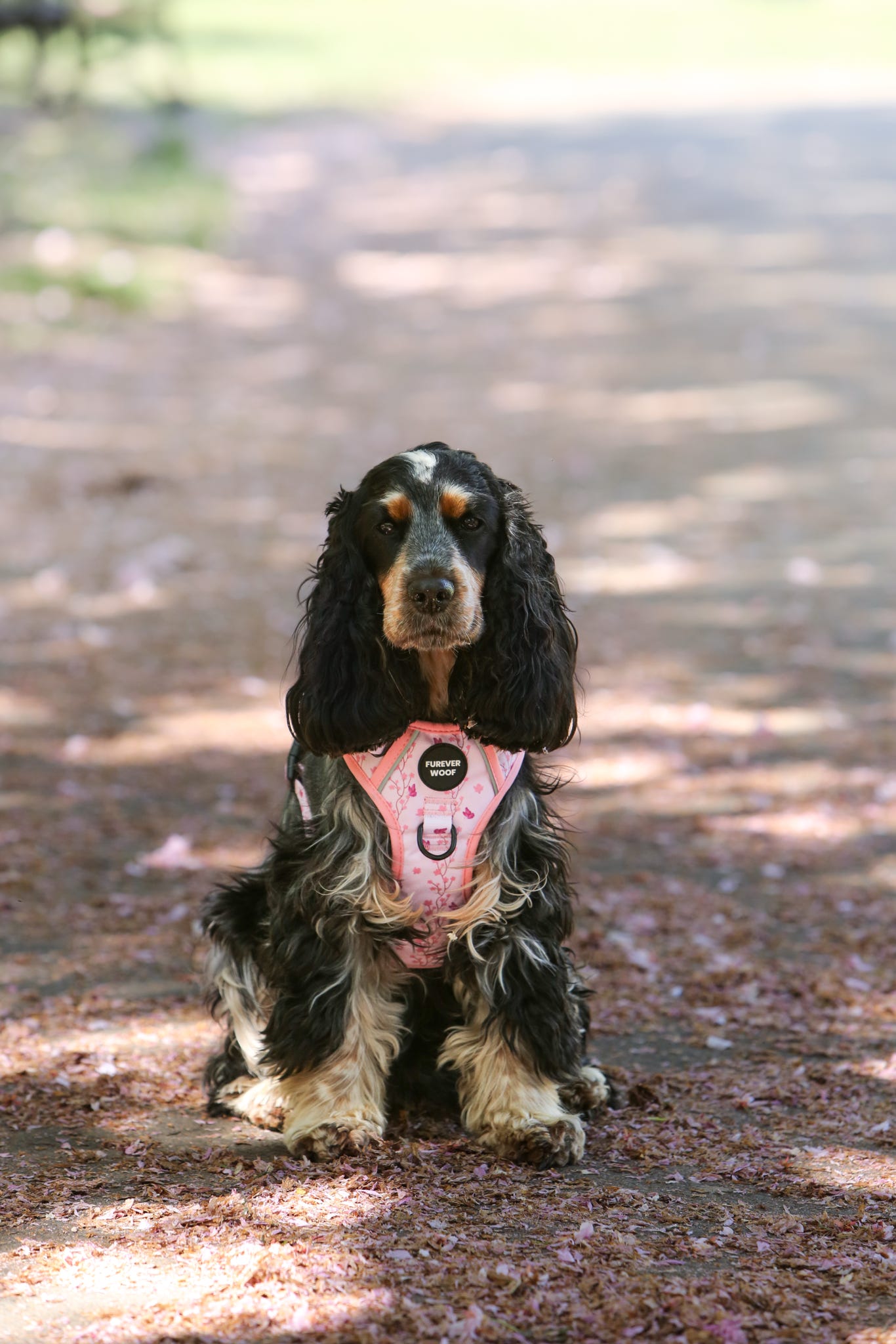 Sweet Blossom 3-Clip Active Harness