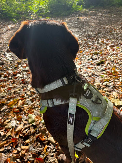 🌸 Forest Bloom Adventure Set