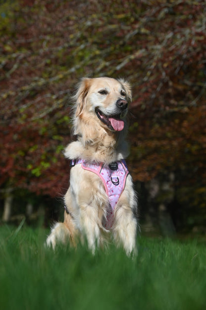 Sweet Blossom 3-Clip Active Harness