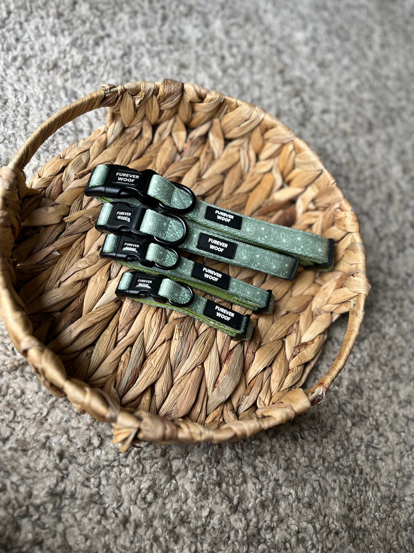 🌼 Forest Bloom Collar