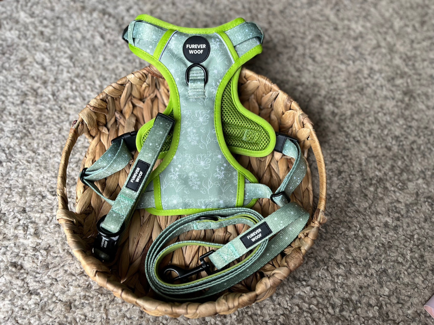 🌸 Forest Bloom Adventure Set