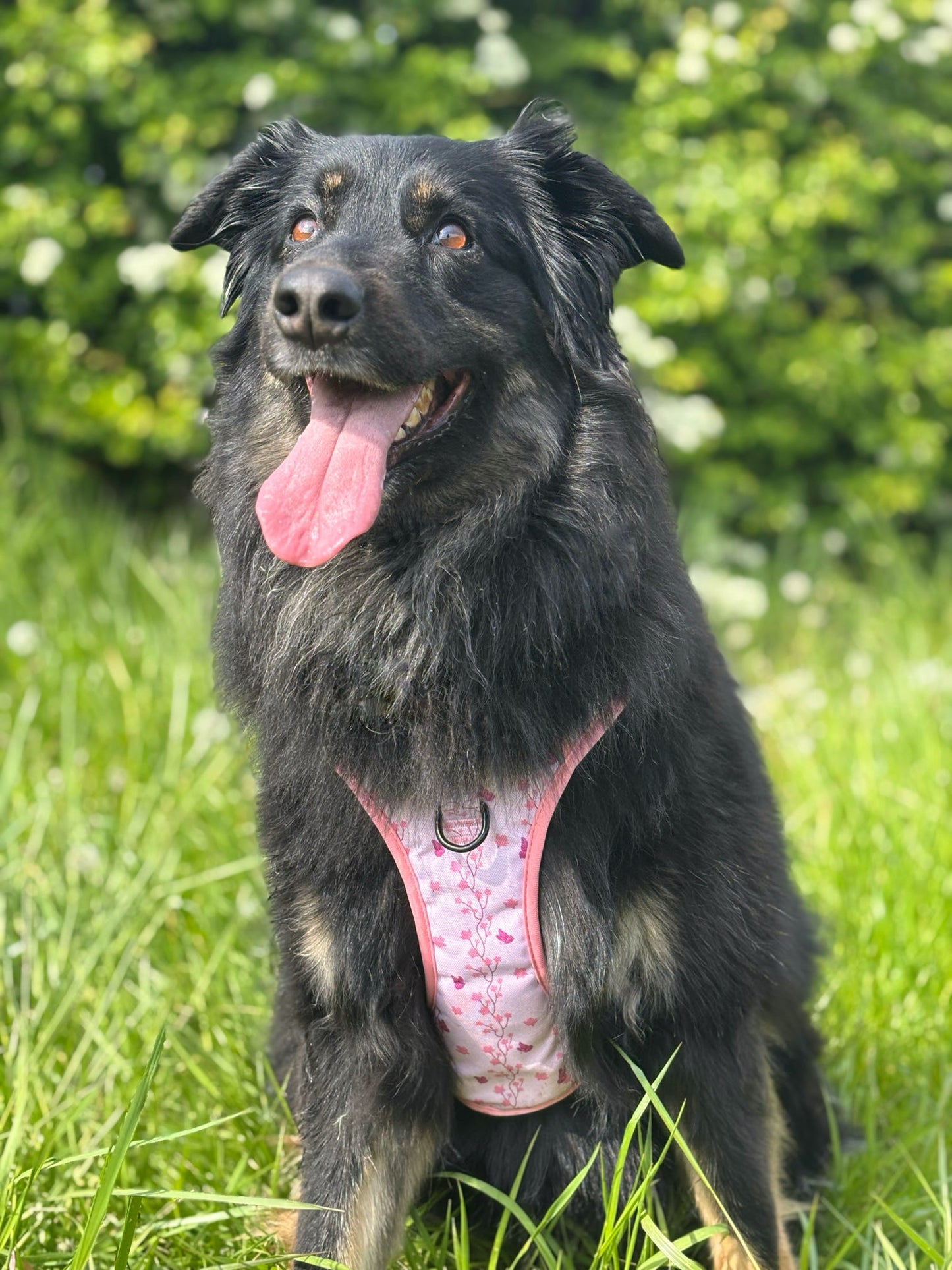 Sweet Blossom 3-Clip Active Harness
