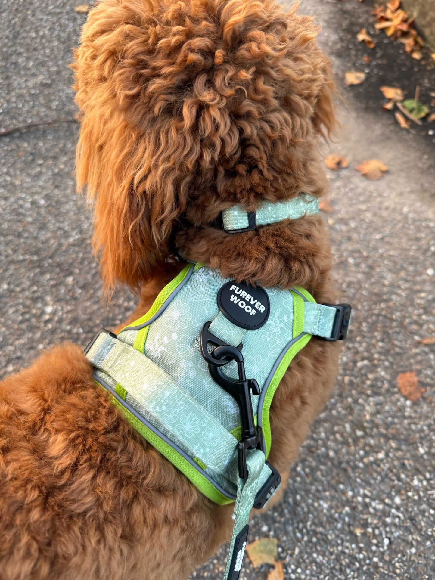 🌸 Forest Bloom Adventure Harness