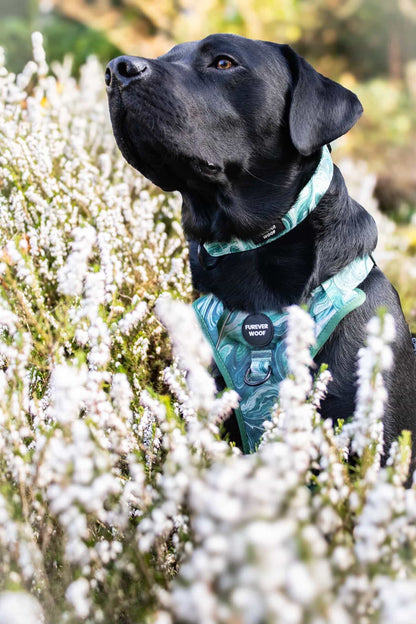 Emerald Swirl Collar