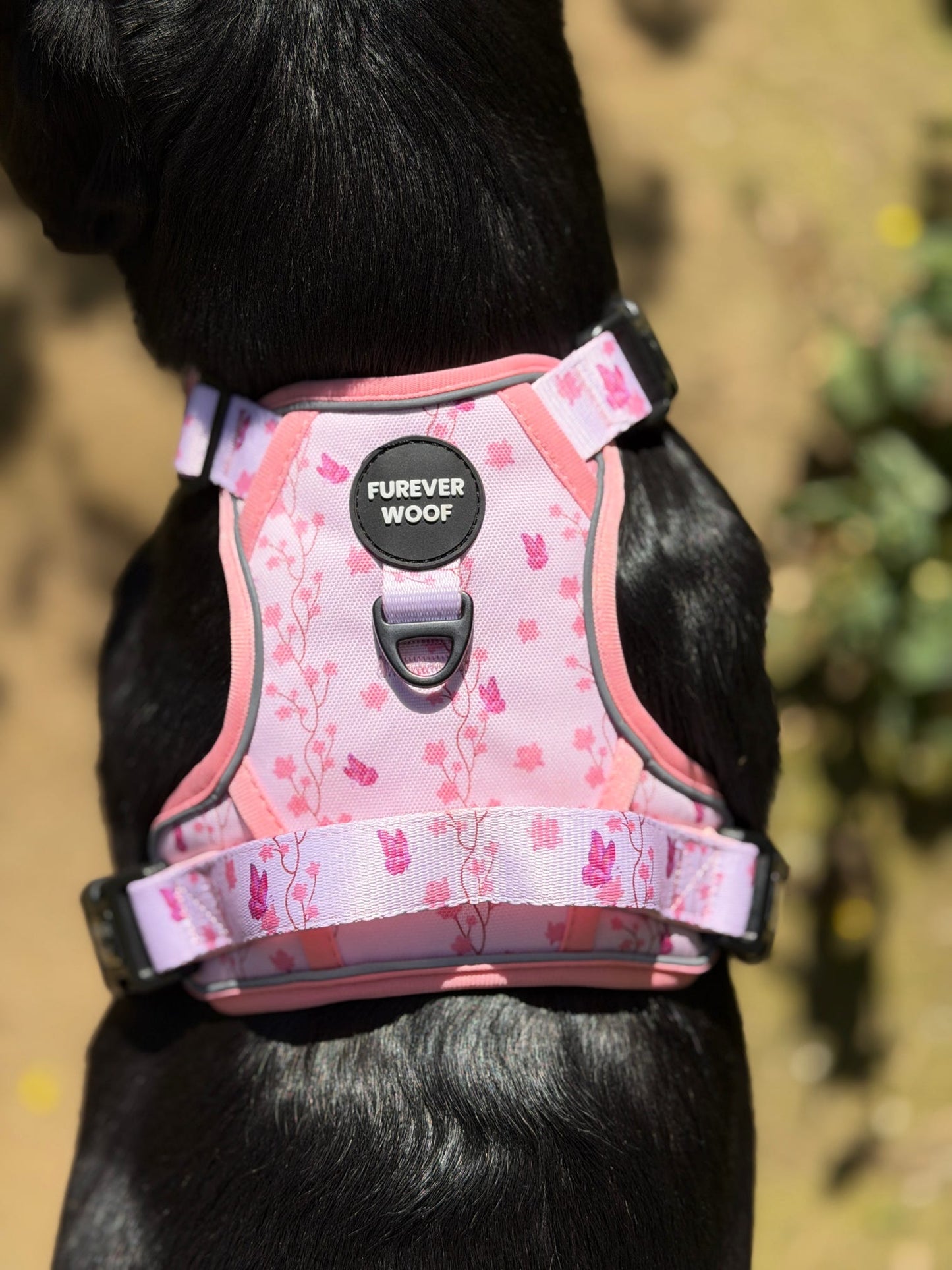Sweet Blossom 3-Clip Active Harness