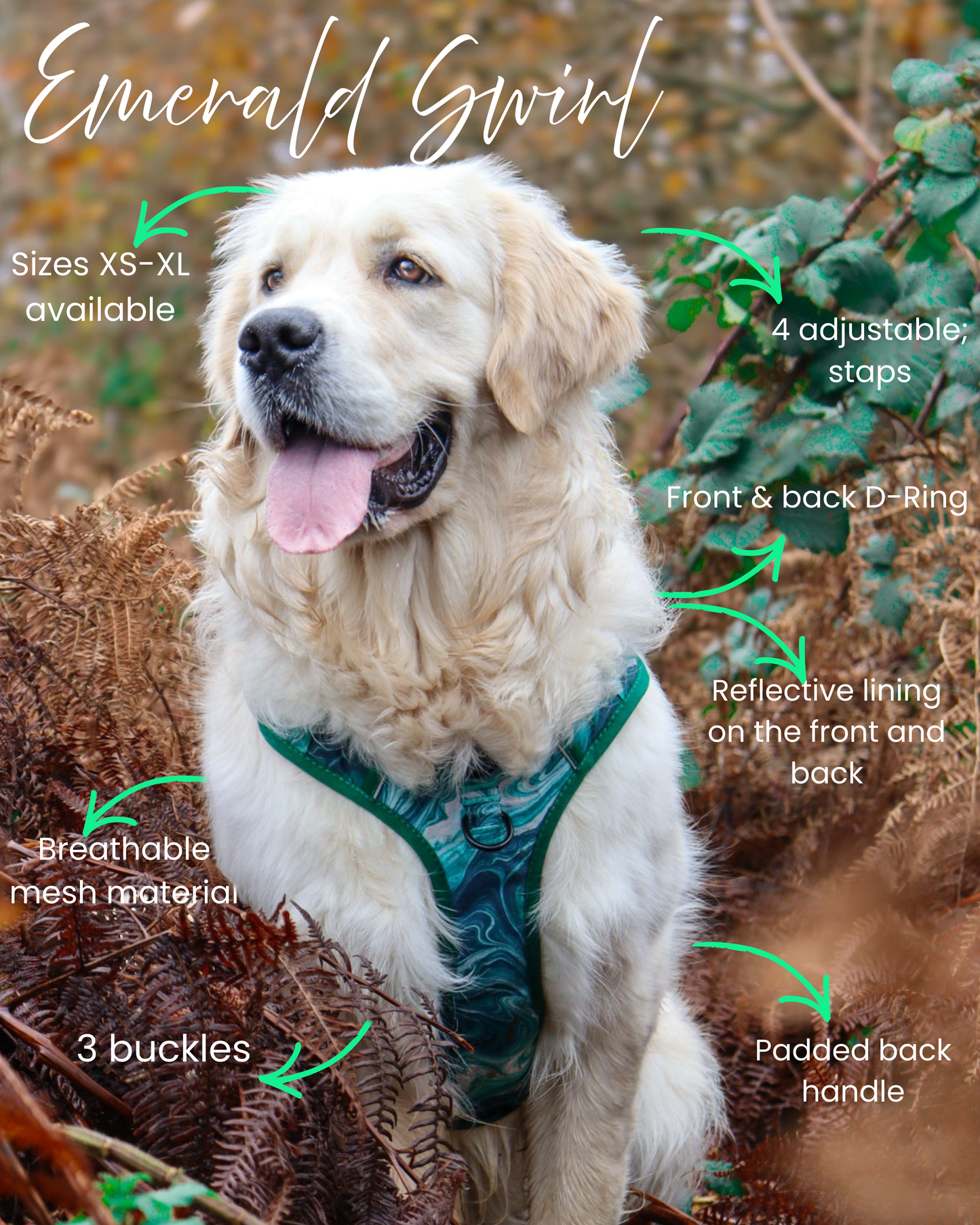 🌿 Emerald Swirl Adventure Harness