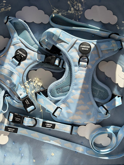 Daydream 3-Clip Active Set