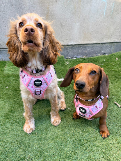 Sweet Blossom 3-Clip Active Harness